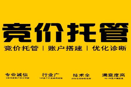 SEM公司广告投放案例：从零到一的成长历程